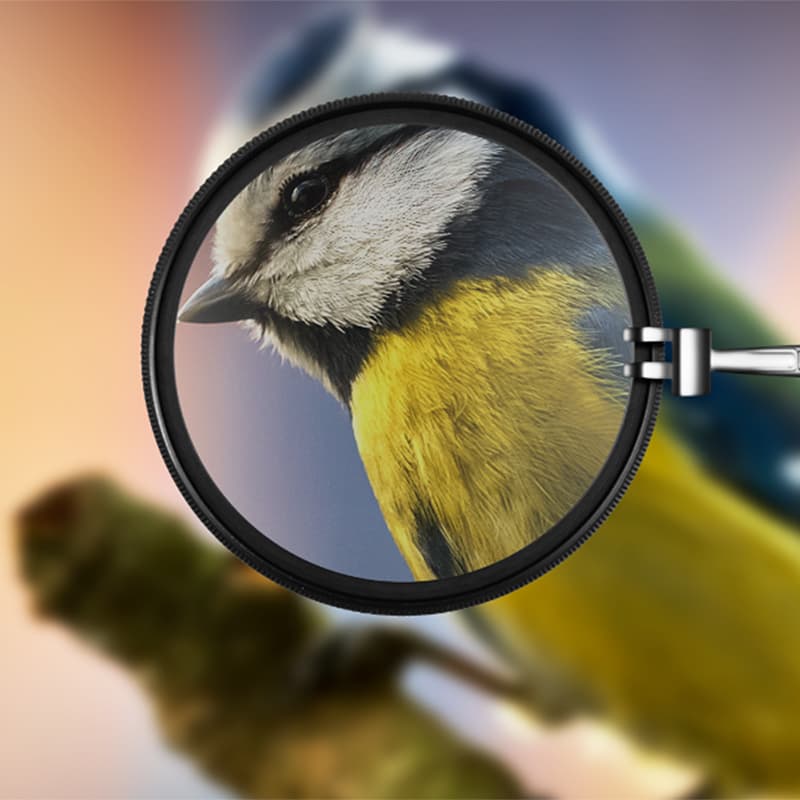 Стандартный объектив с фиксированным объективом Canon EF 50MM F/1.4 USM для портретной и пейзажной съемки