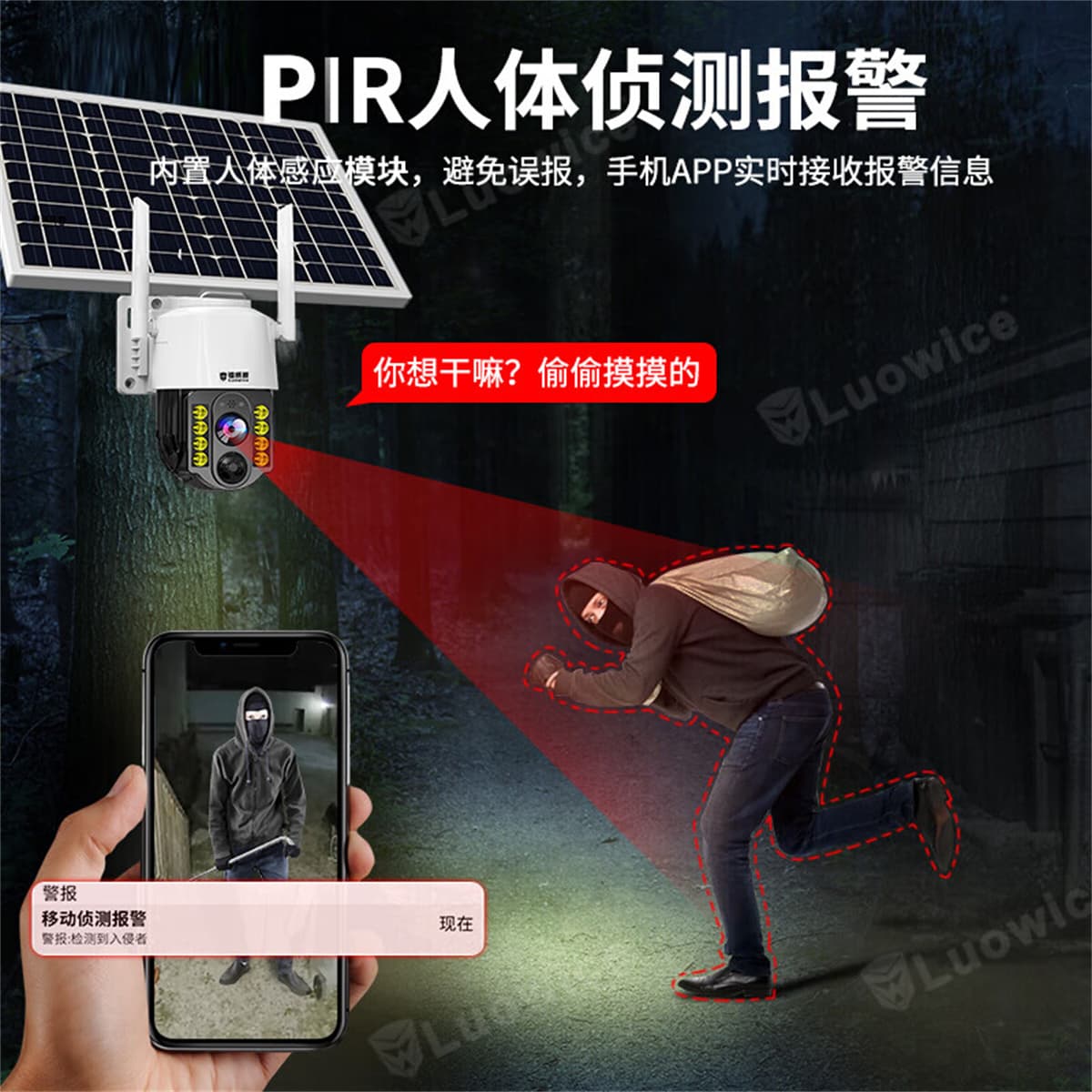 Камеры наблюдения Люовице