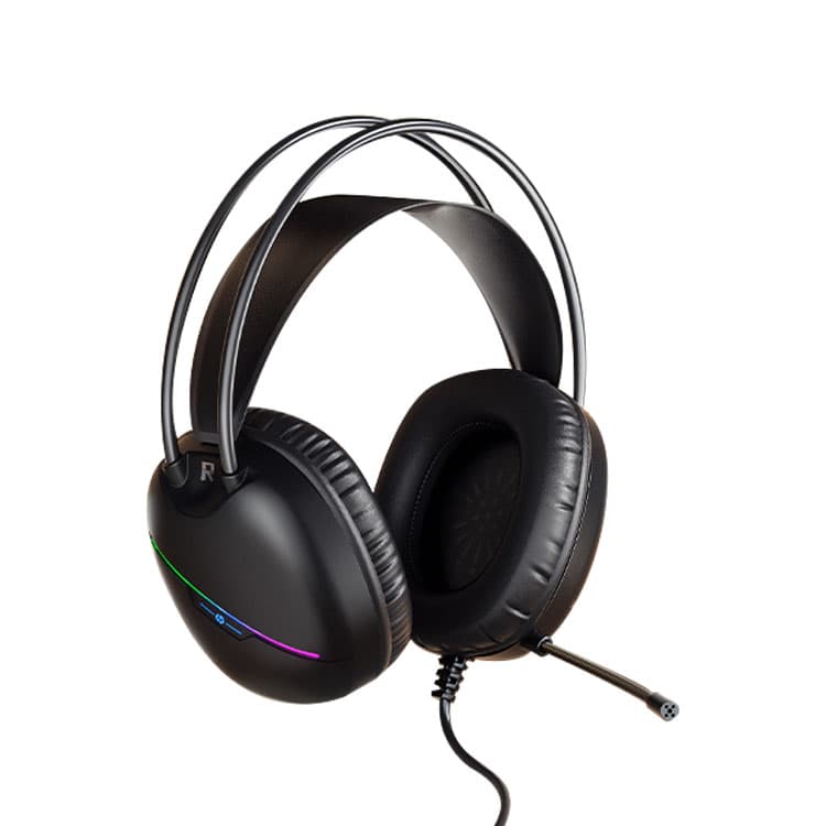 HP Wired Headphones
