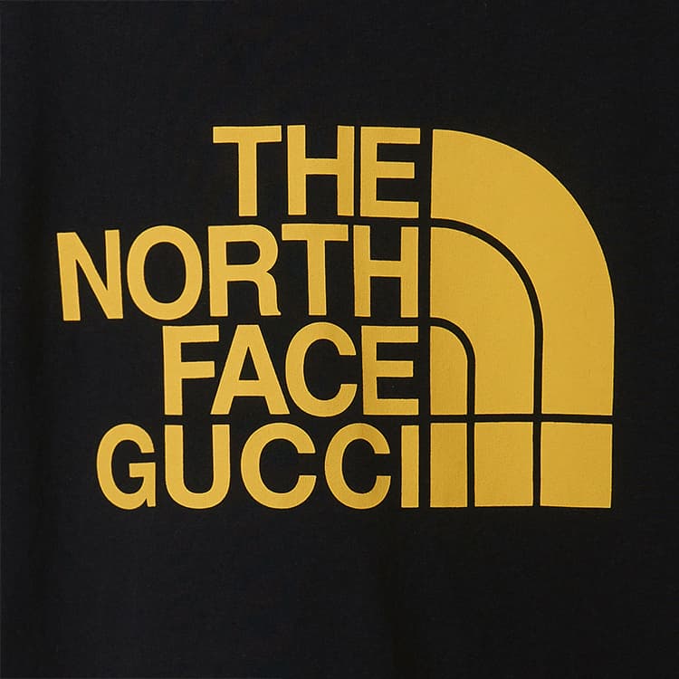 Футболка оверсайз The North Face X GUCCI