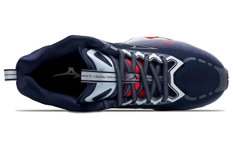 Mizuno Wave Prophecy X 10, темно-серый