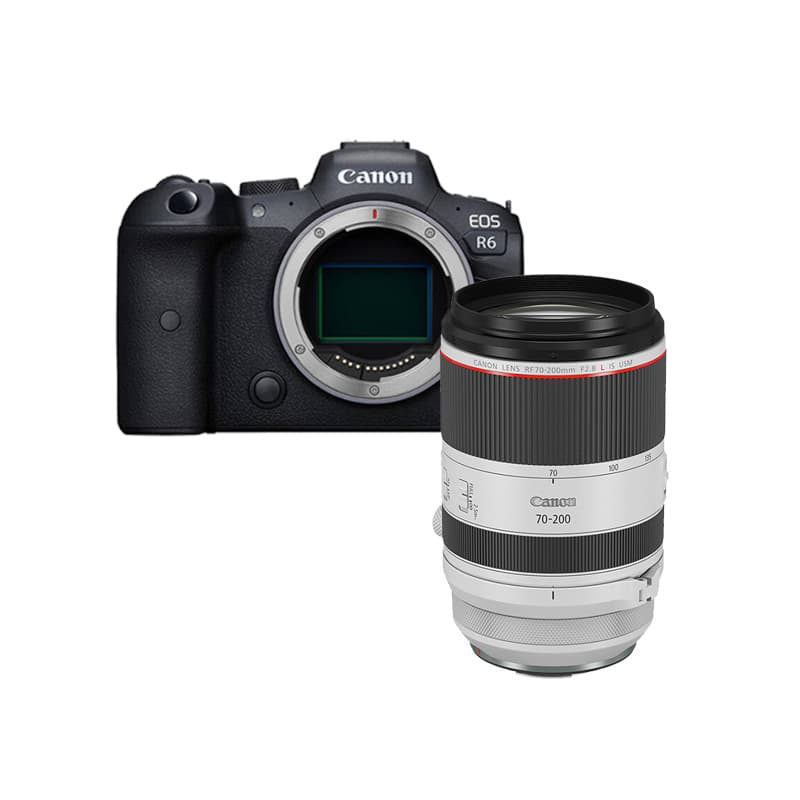 Полнокадровая профессиональная беззеркальная камера Canon EOS R6, 20,1 миллиона пикселей, высокое качество изображения, защита от сотрясений