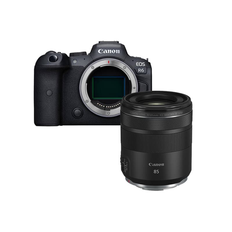 Полнокадровая профессиональная беззеркальная камера Canon EOS R6, 20,1 миллиона пикселей, высокое качество изображения, защита от сотрясений