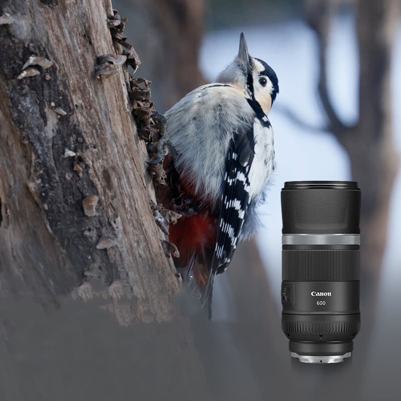 Полнокадровый объектив с функцией стабилизации изображения RF600mm F11 IS STM, легкий ультрателеобъектив с фиксированной фиксацией