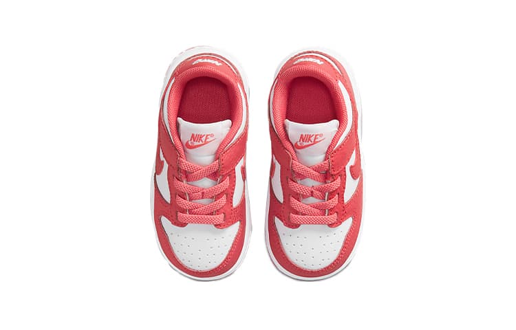 Nike Dunk Low White Gypsy Rose TD.