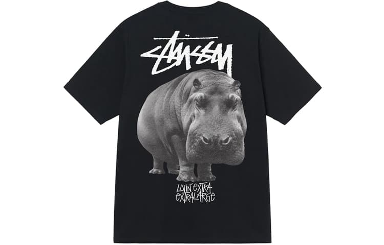 Stussy Withered Flower Tee