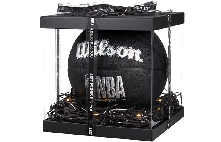 Мяч для баскетбола Wilson NBA из искусственной кожи, черный, серебристый, размер 7, тренировочный, унисекс