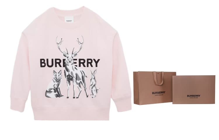 Толстовка Burberry FW22 Розовый Детский
