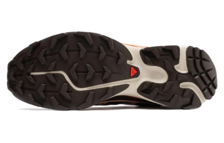 SALOMON XT 6 «Вкусный»