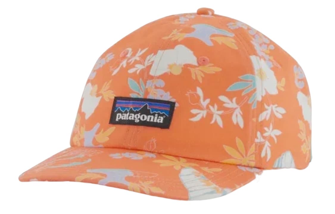 Бейсбольная кепка Patagonia Trad