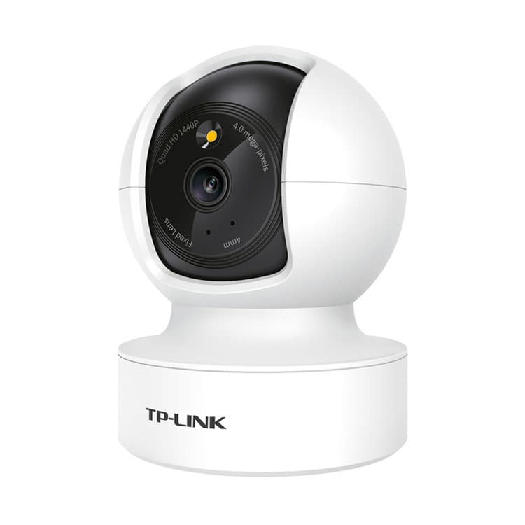 TP LINK Surveillance Cameras