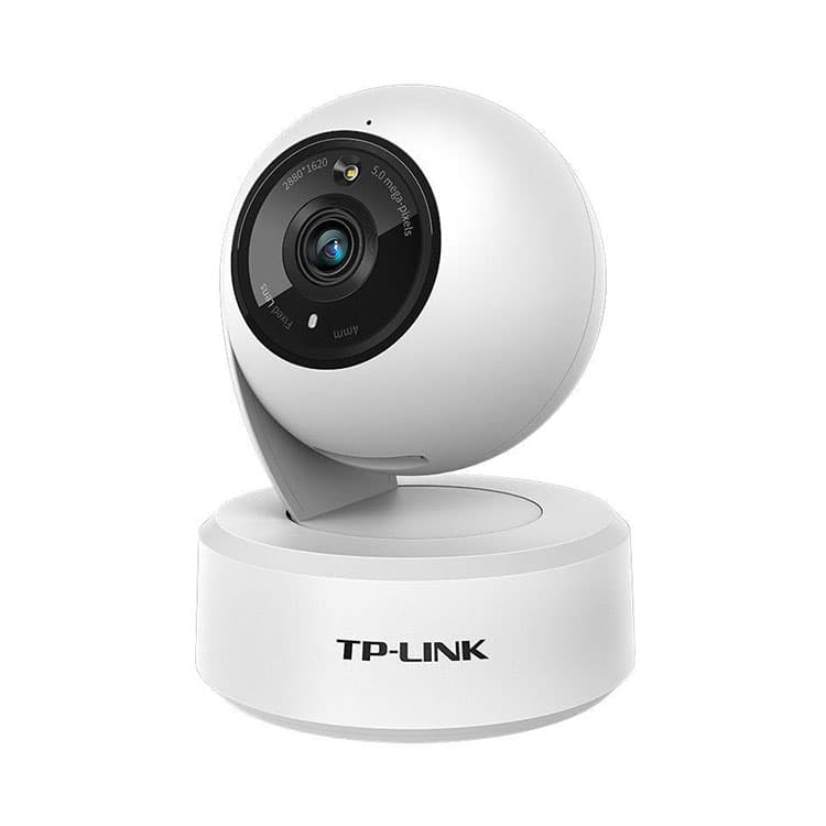 TP LINK Surveillance Cameras
