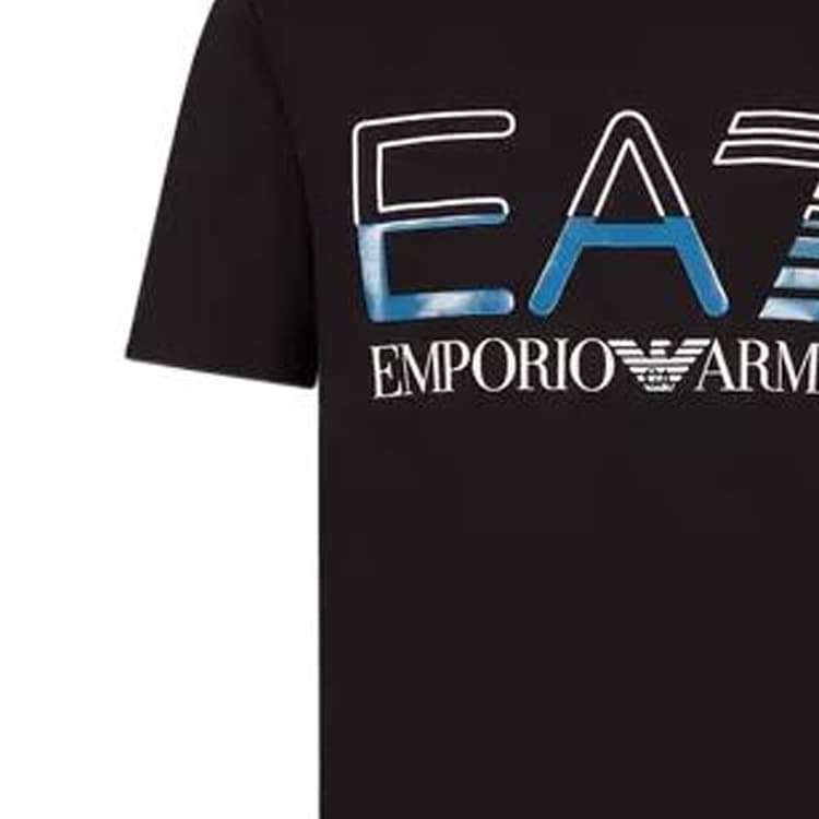 Футболка мужская EMPORIO ARMANI EA7 черная