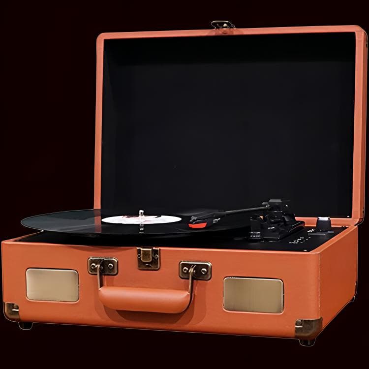 Fanfani Виниловые проигрыватели