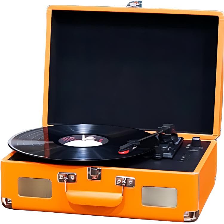 Fanfani Виниловые проигрыватели