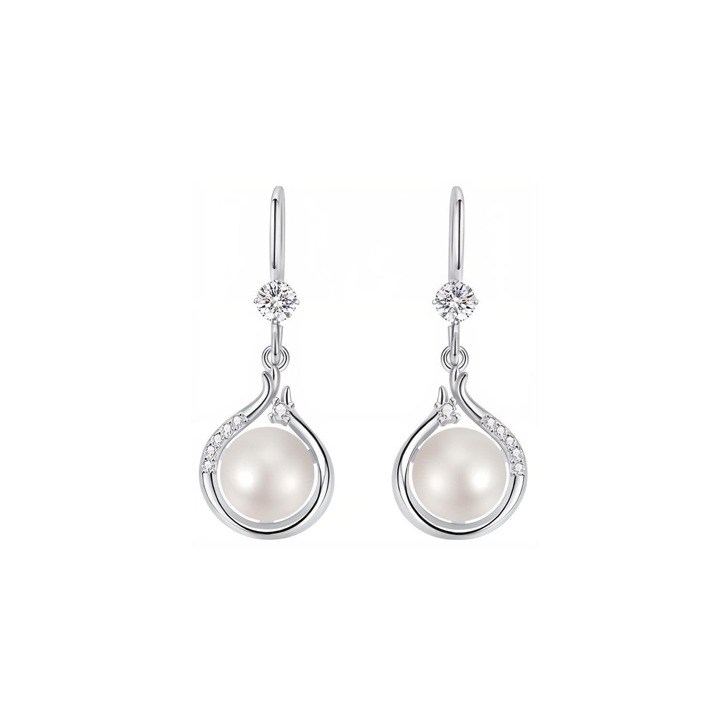 ZSY Silver 925 Earrings Women's Box