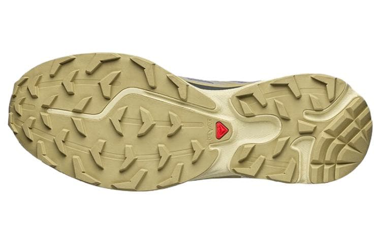 SALOMON Xt 6 'Серая резинка'