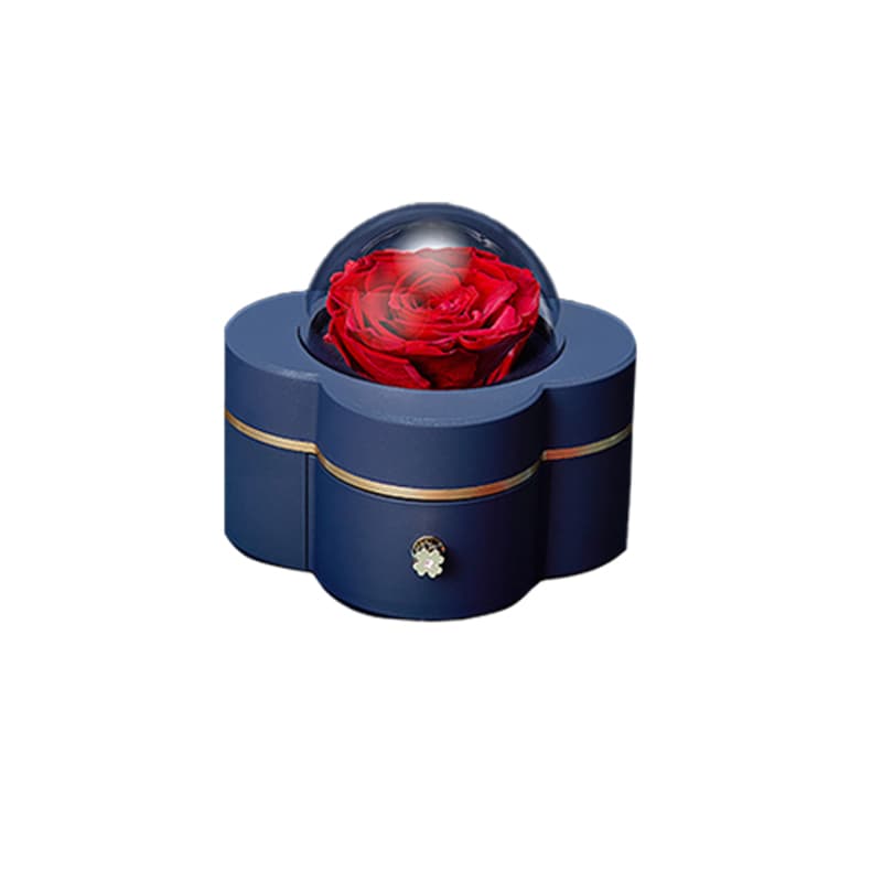 Женские изящные серебряные браслеты VANA 990