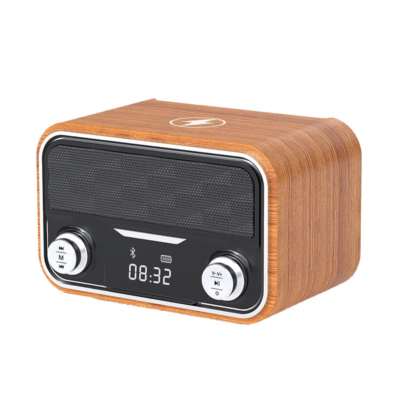 BIAZE Wireless Speakers