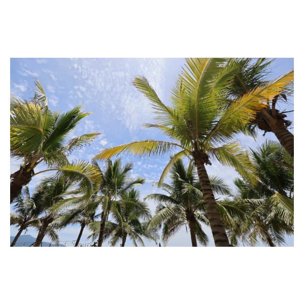 Объективы для беззеркальных фотоаппаратов Canon Street Travel Snap Vlog RF S10 18 мм F4,5 6,3 IS STM