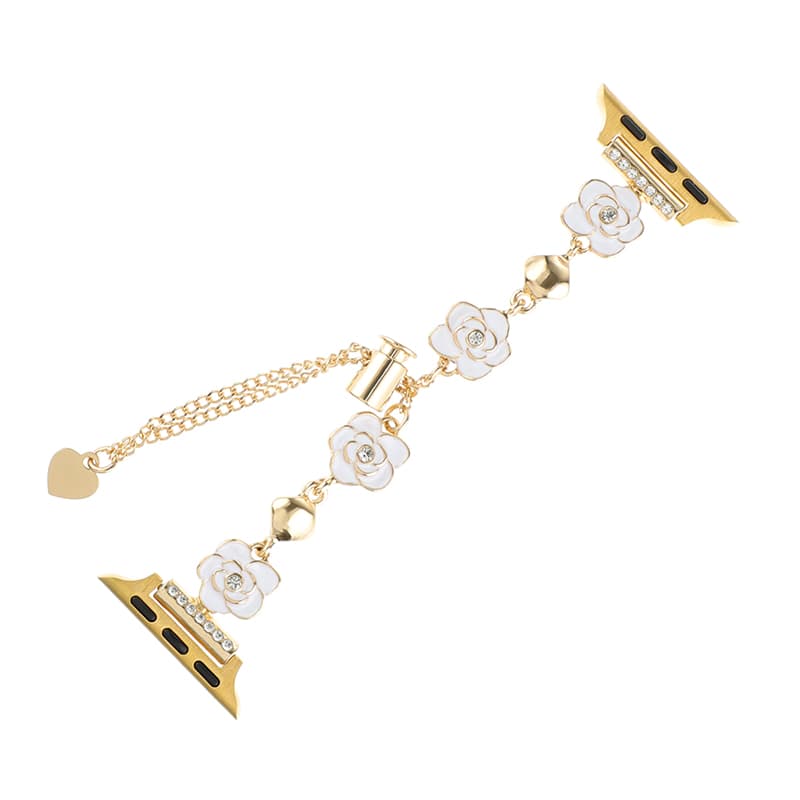 Biaodaige Strap Apple Compatibility Zinc Alloy Material 197mm