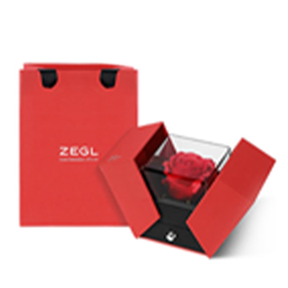 ZEGL Женские браслеты со сверкающим цирконом