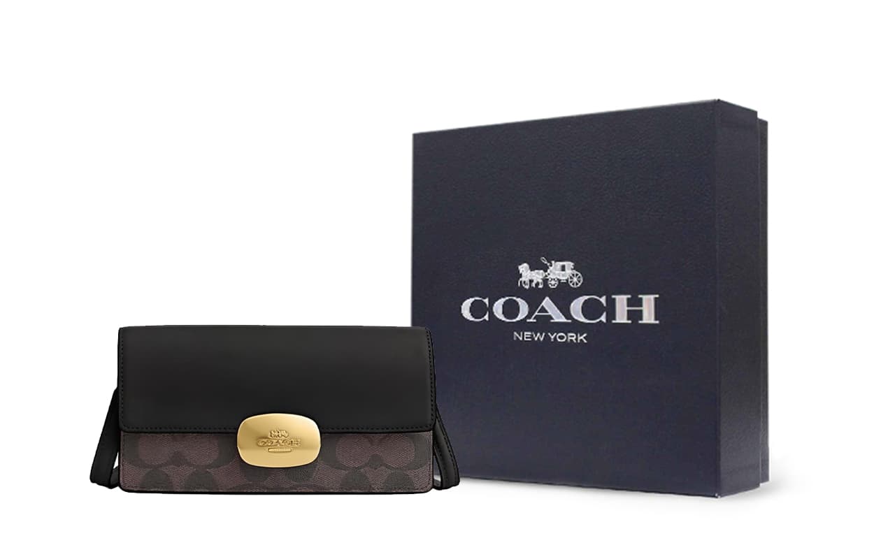 COACH Eliza Коровья кожа в стиле пэчворк, маленькая квадратная сумка из ПВХ, сумка через плечо, сумка через плечо, маленький размер, женская, коричневая и черная