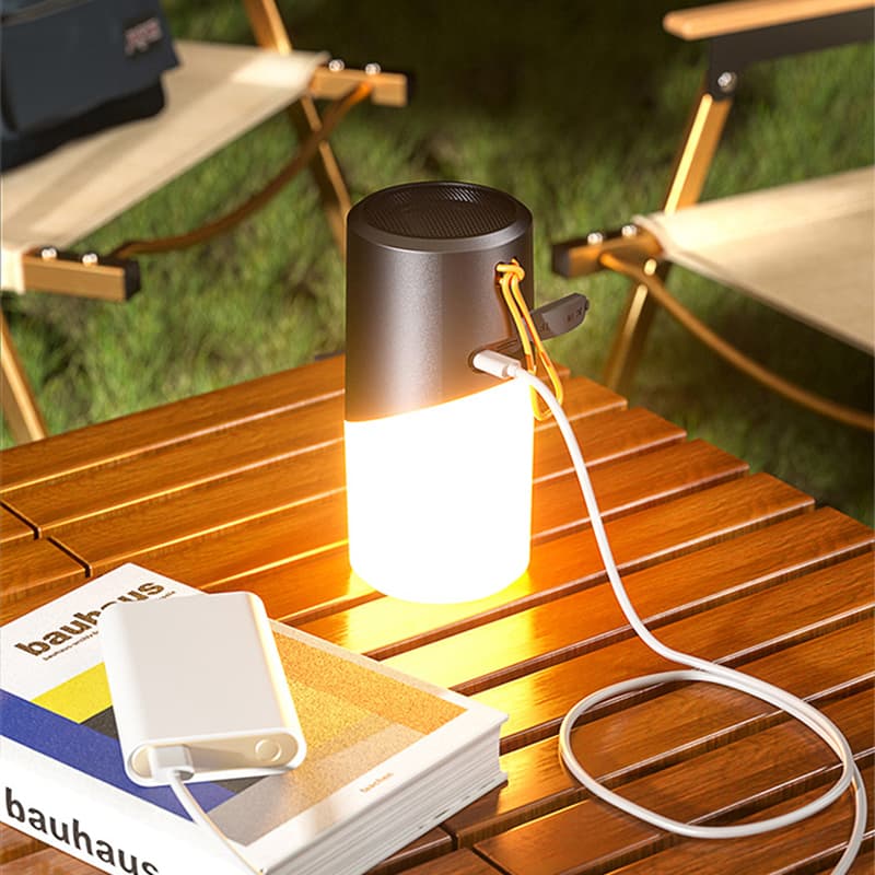 SHENTS Уличные и акустические колонки