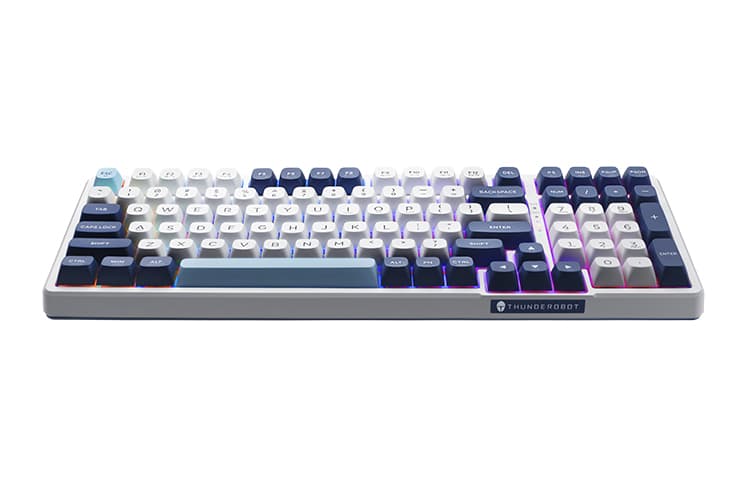 Клавиатуры ThundeRobot