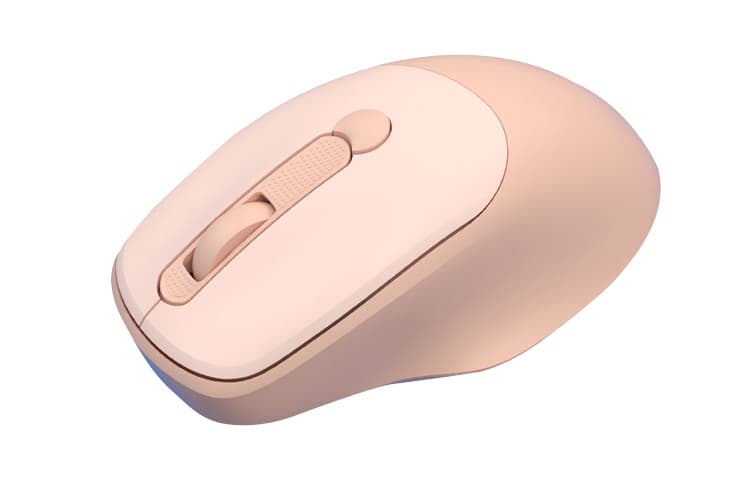 HEY CAT'S DIARY Mouses