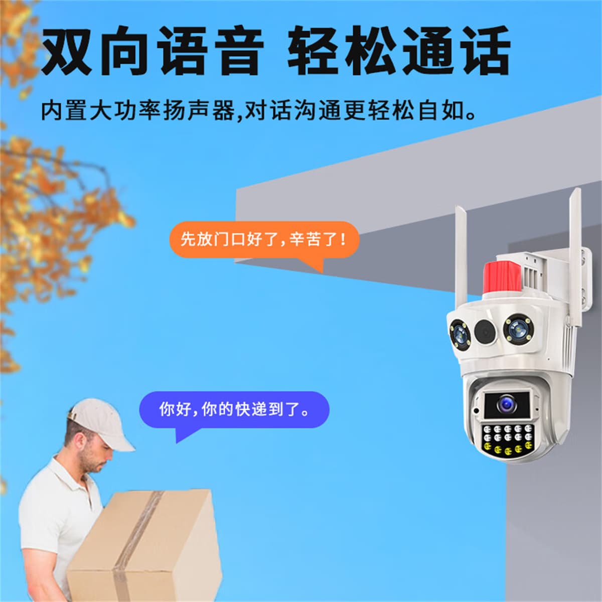 Камеры наблюдения Люовице